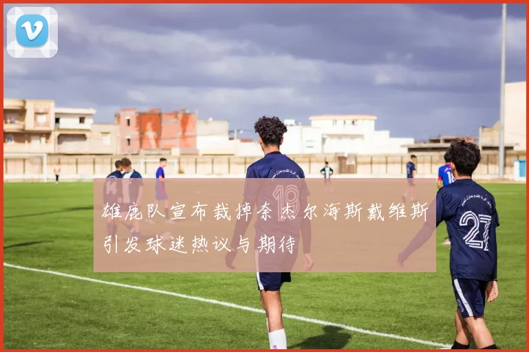 雄鹿队宣布裁掉奈杰尔海斯戴维斯引发球迷热议与期待