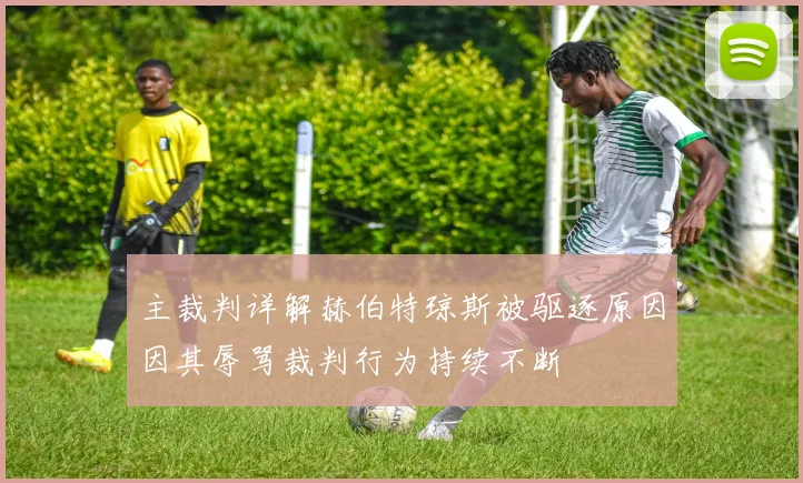 主裁判详解赫伯特琼斯被驱逐原因因其辱骂裁判行为持续不断
