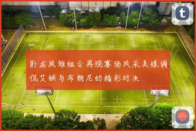 卧龙凤雏组合再现赛场风采美媒调侃艾顿与布朗尼的精彩对决