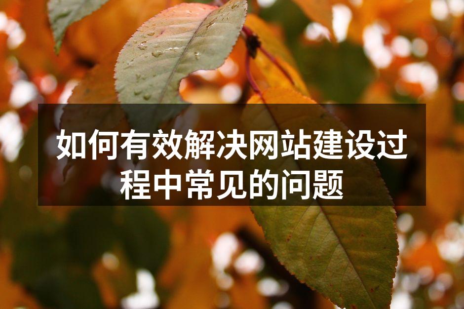 如何有效解决网站建设过程中常见的问题