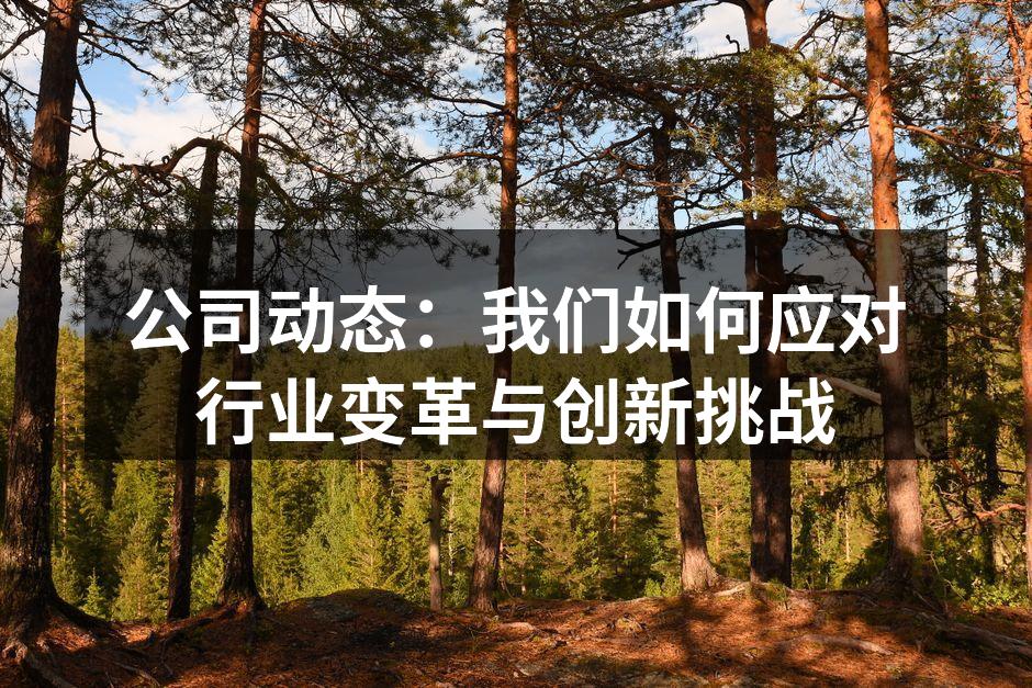 公司动态：我们如何应对行业变革与创新挑战