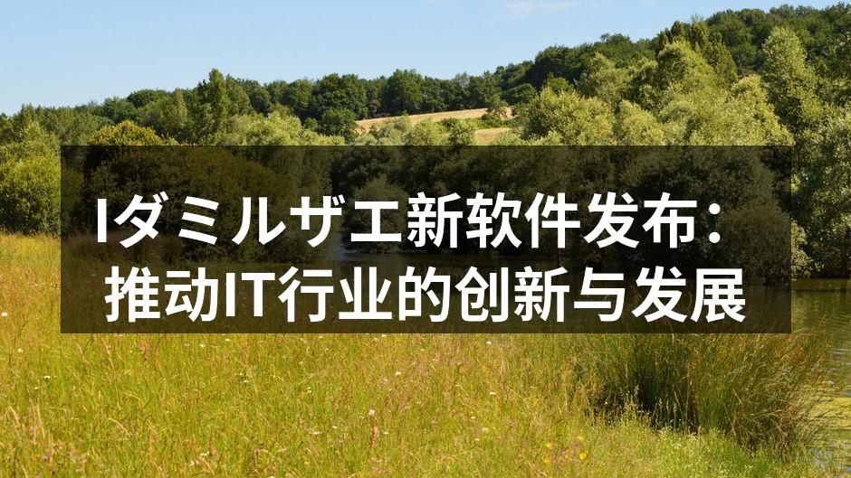 Iダミルザエ新软件发布会现场