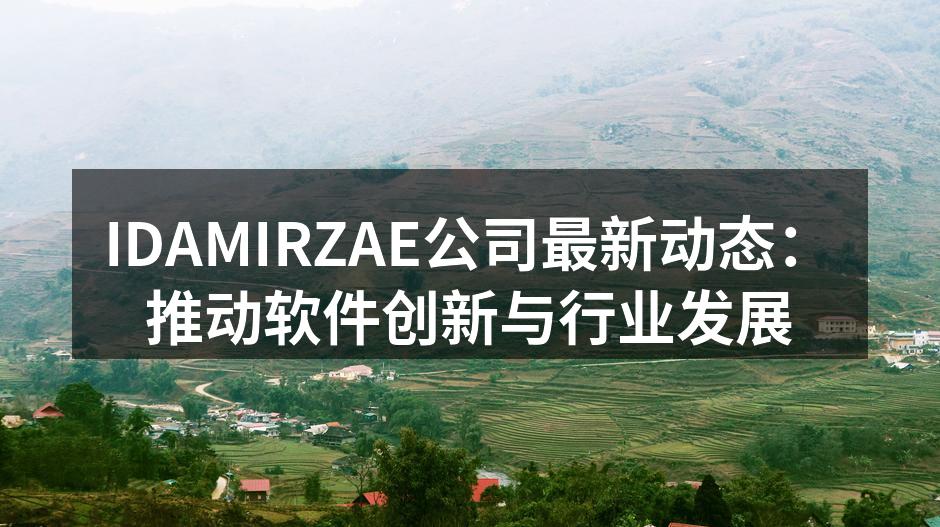 IDAMIRZAE公司最新动态：推动软件创新与行业发展