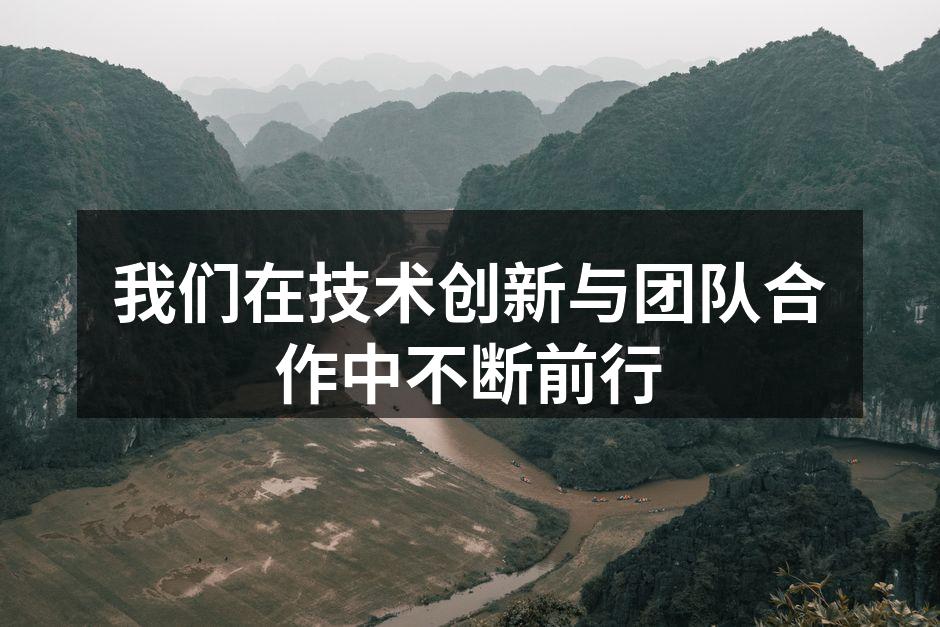 我们在技术创新与团队合作中不断前行