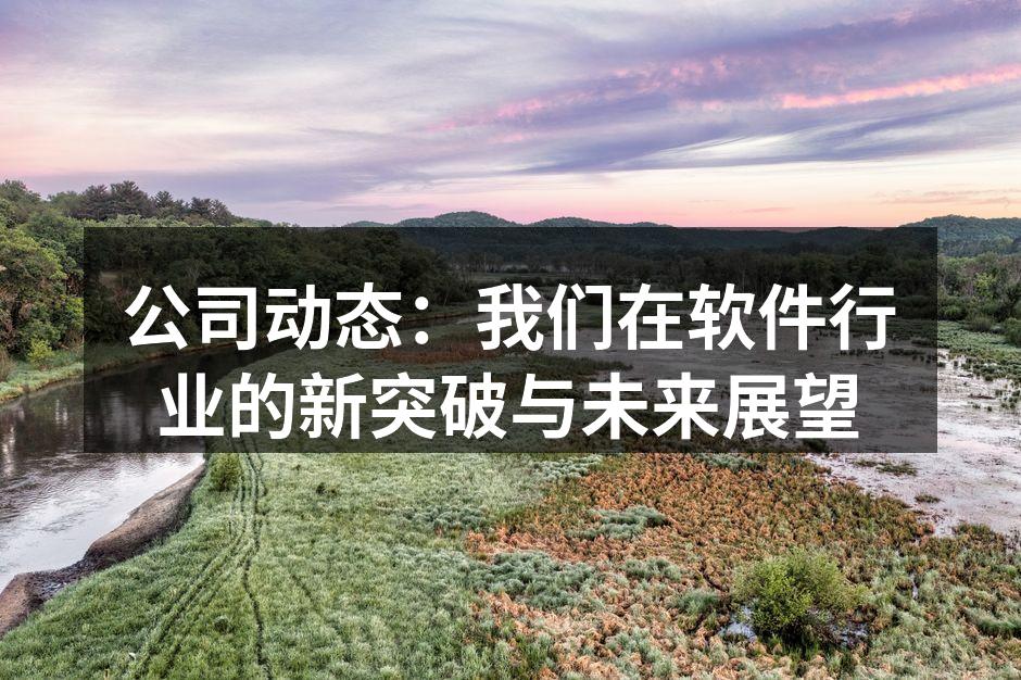 公司动态：我们在软件行业的新突破与未来展望